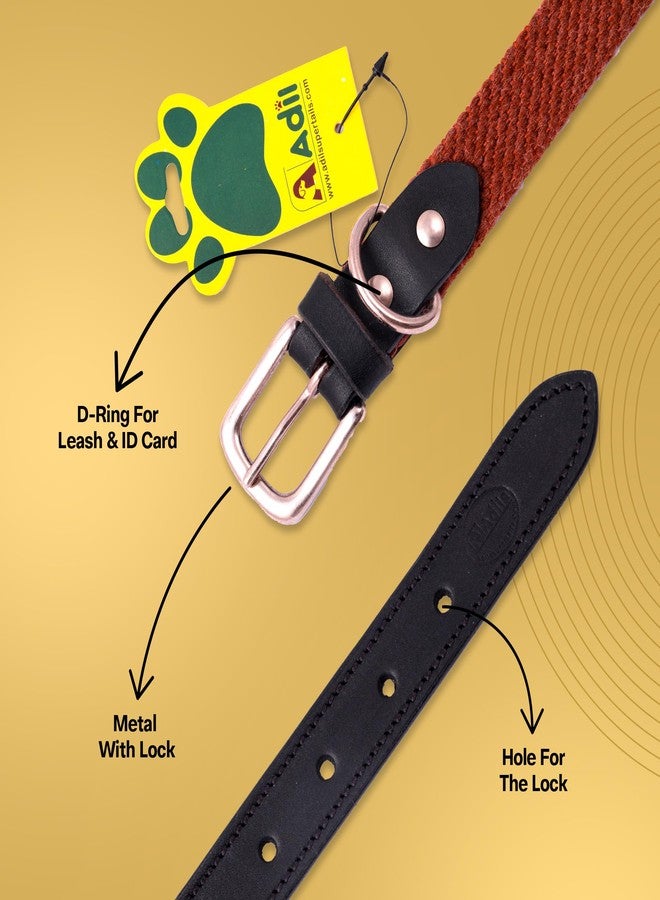 ADIL'S Plain Cotton With Leather Dog Collar,Adjustable Collar Suitable Dogs,(Width: 1 Inch),Orange Brown,Size: Xl - Image 3